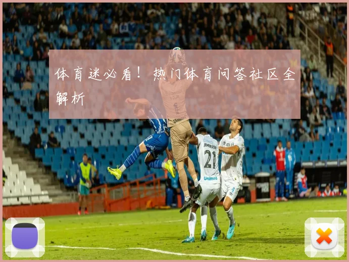 体育迷必看!热门体育问答社区全解析