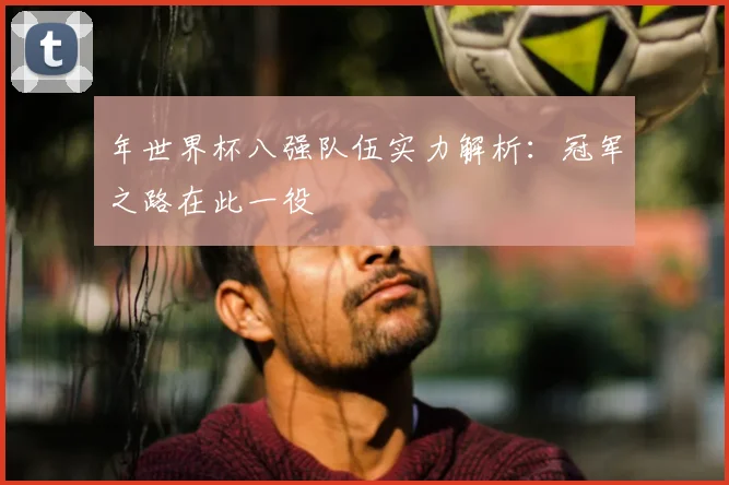 年世界杯八强队伍实力解析:冠军之路在此一役