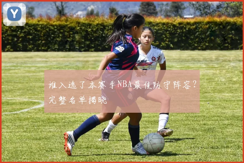 谁入选了本赛季NBA最佳防守阵容?完整名单揭晓